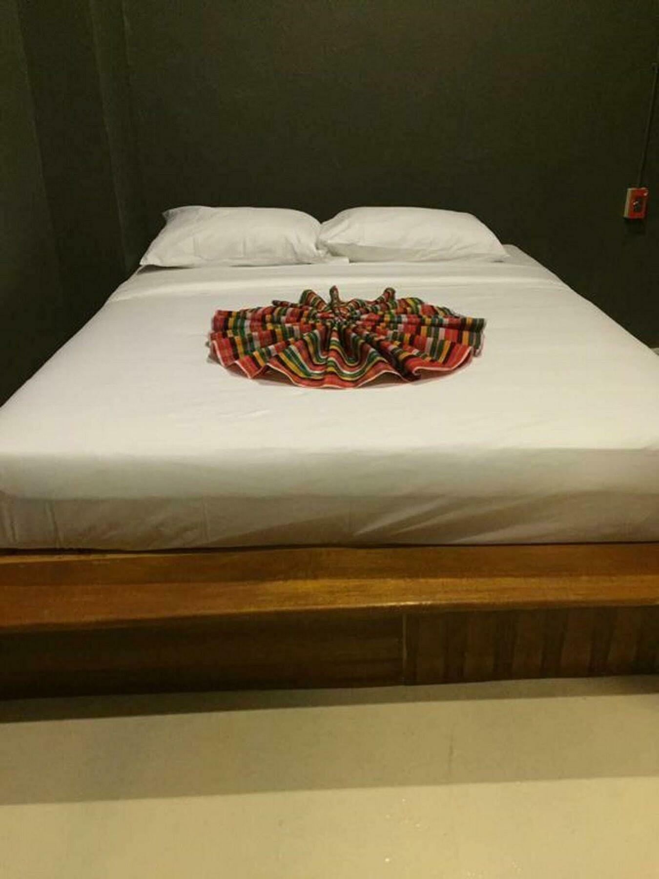 Pi Coco Hostel شاطئ تشاوينغ المظهر الخارجي الصورة